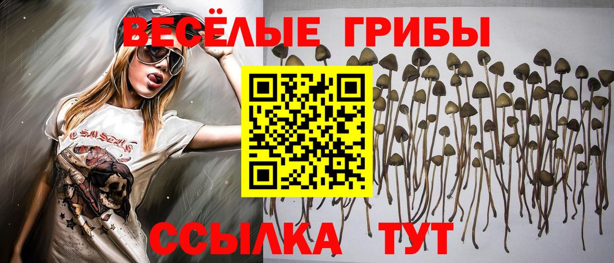 Галлюциногенные грибы Cubensis  Вход с VPN  Галлюциногенные грибы Psilocybine cubensis  Тавда 