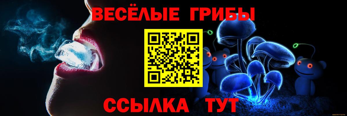 Галлюциногенные грибы Psilocybe Тавда